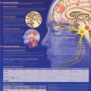 Migraines and Headaches Chart