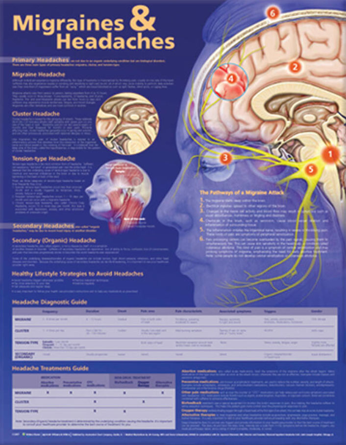 Migraines and Headaches Chart