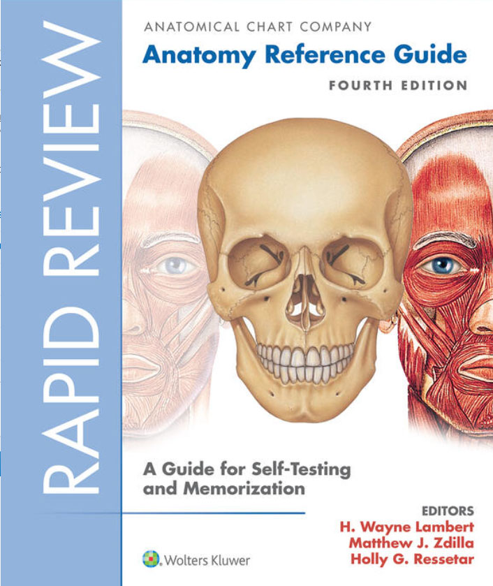 Rapid Review: Anatomy Reference Guide Charts (Wire Bound)