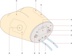 Dorsogluteal Intramuscular Injection Model