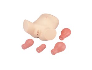 Puerperal Uterus Palpation Training Model