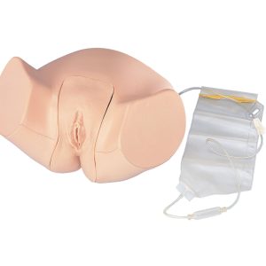 Urethral Catheterisation Model