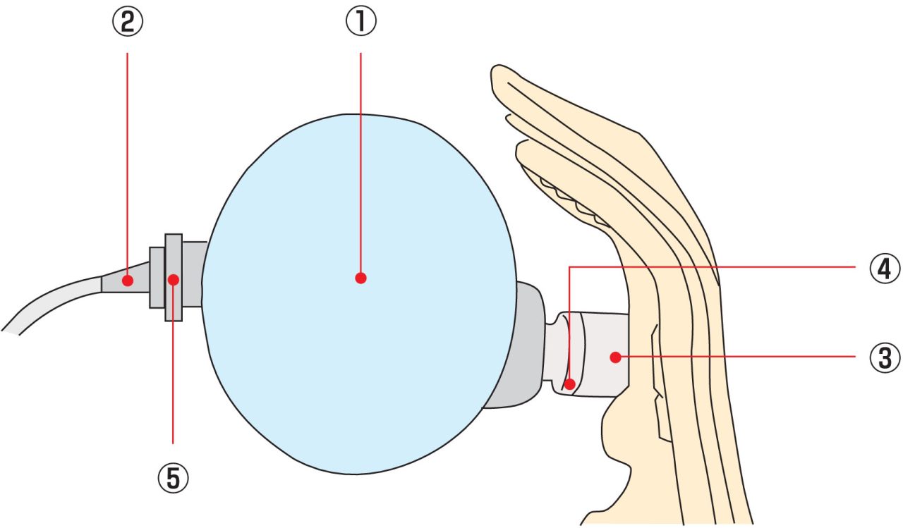 Urethral Catheterisation Model