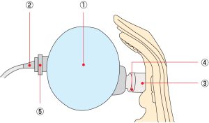 Urethral Catheterisation Model