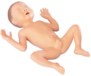 30 Week Premature Baby, Male - Light