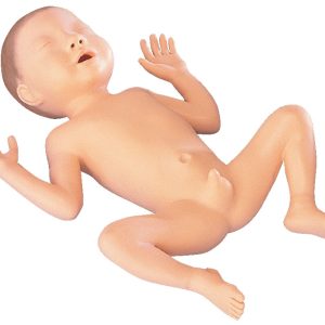 30 Week Premature Baby, Male - Light