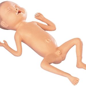 24 Week Premature Baby, Male - Light