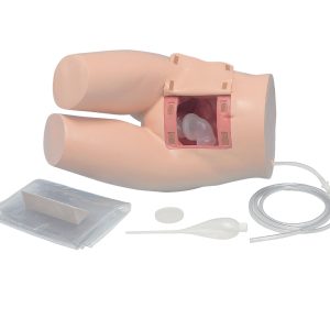 Faeces Removal and Enema Training Model