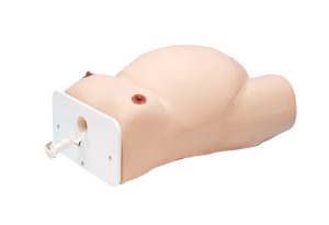 ECV (External Cephalic Version) Model