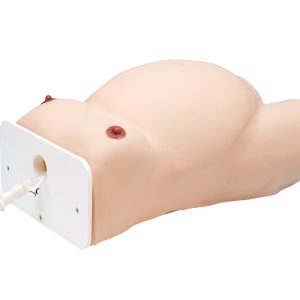 ECV (External Cephalic Version) Model