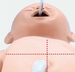 Resuscitation Model of New-Born Baby (Replaces AK049)