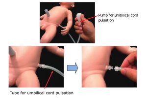 Resuscitation Model of New-Born Baby (Replaces AK049)