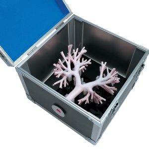 Bronchoscopy Training Model