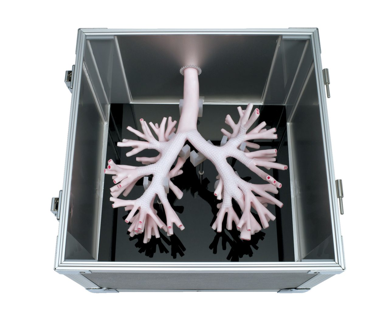 Bronchoscopy Training Model