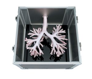 Bronchoscopy Training Model