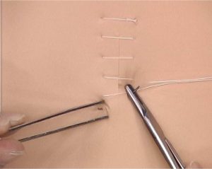 Suture Practice Kit