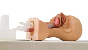 Suction Training Model Type II