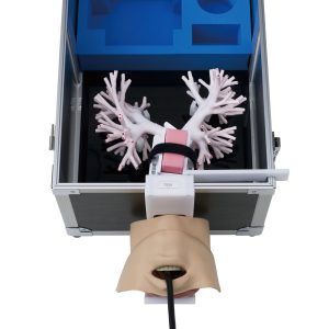Ultrasonic Bronchoscopy Simulator