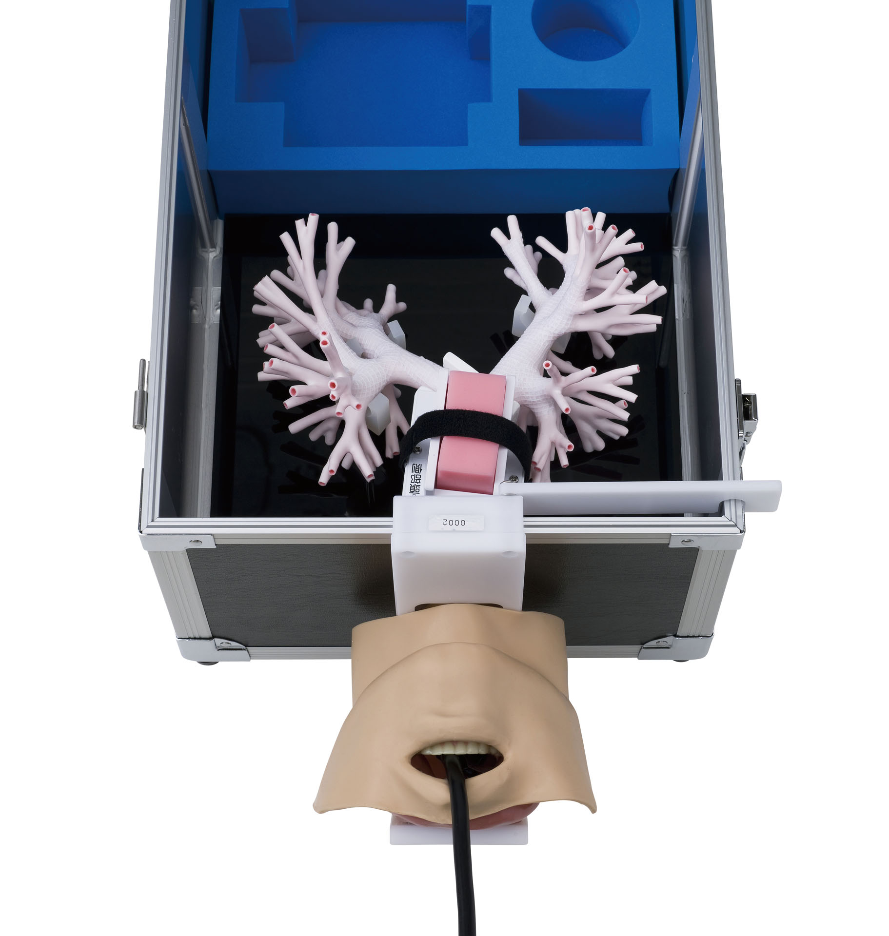 Ultrasonic Bronchoscopy Simulator