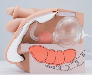 Catheterisation and Enema Simulator, Male
