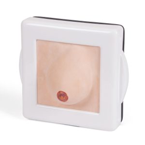 Examination and Diagnostic Breast Trainer, Light