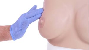 Basic Breast Examination Trainer, Light