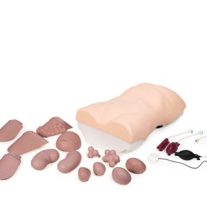 Abdominal Examination Trainer, Light