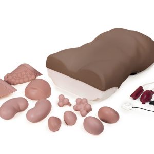 Abdominal Examination Trainer, Dark