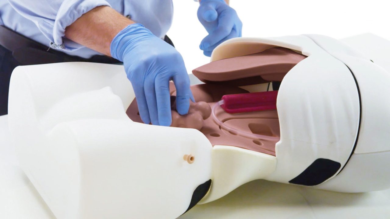 Abdominal Examination Trainer, Dark