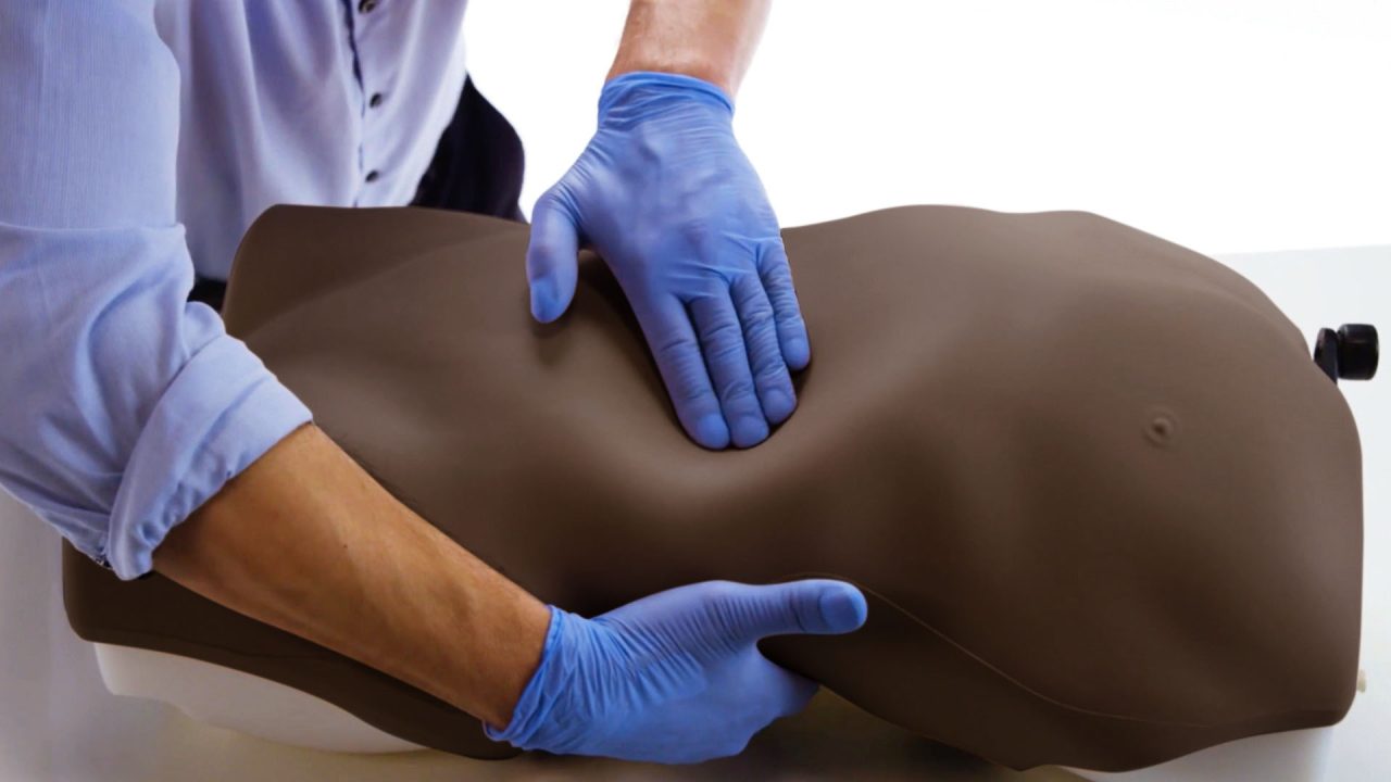 Abdominal Examination Trainer, Dark
