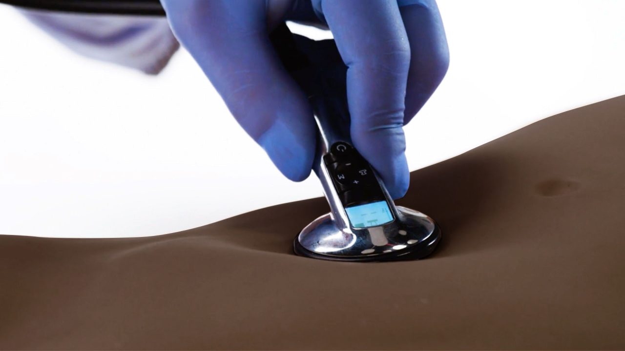 Abdominal Examination Trainer, Dark