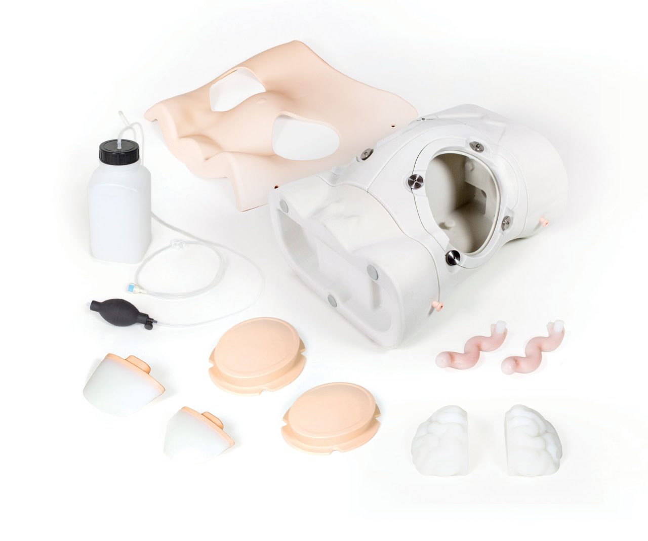 Paracentesis Trainer, Light