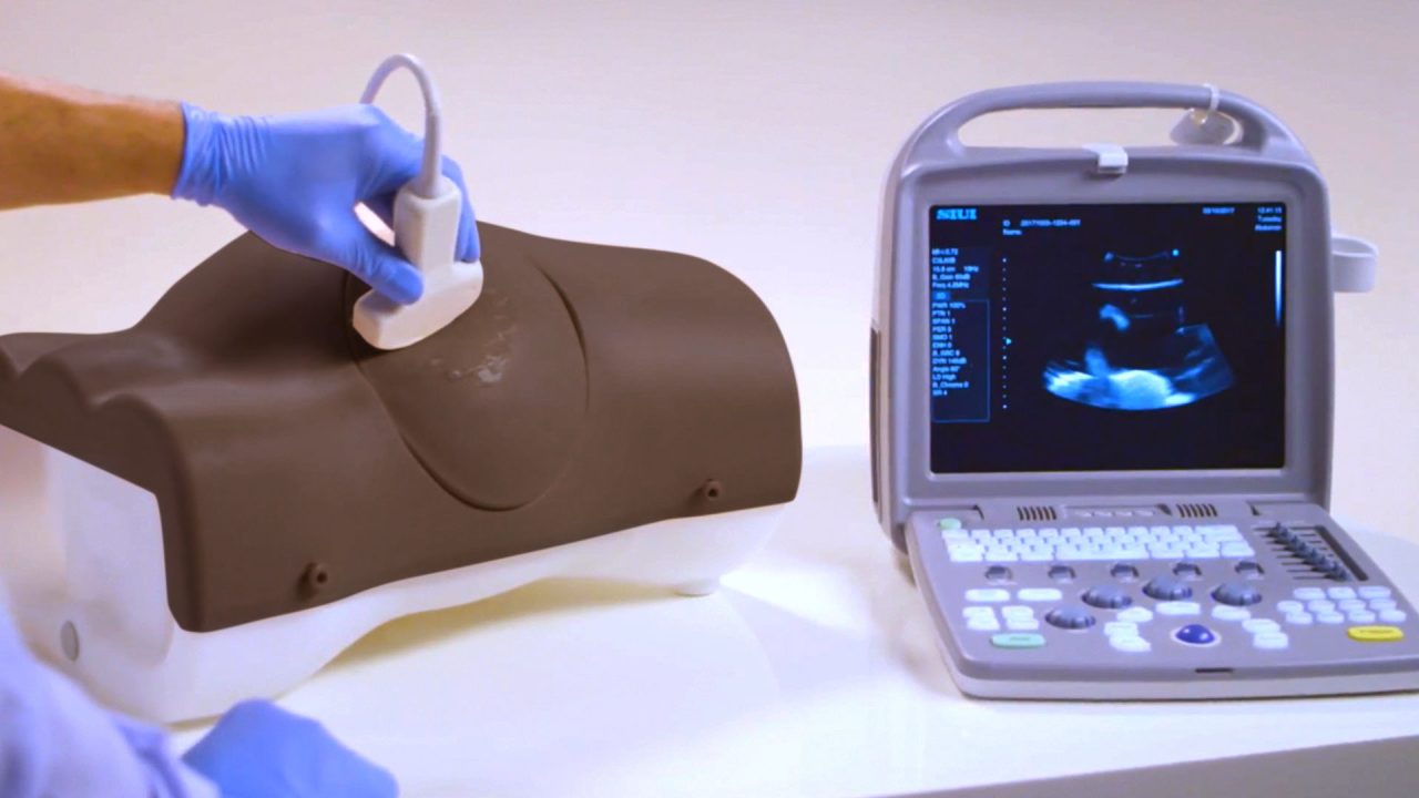 Paracentesis Trainer, Dark