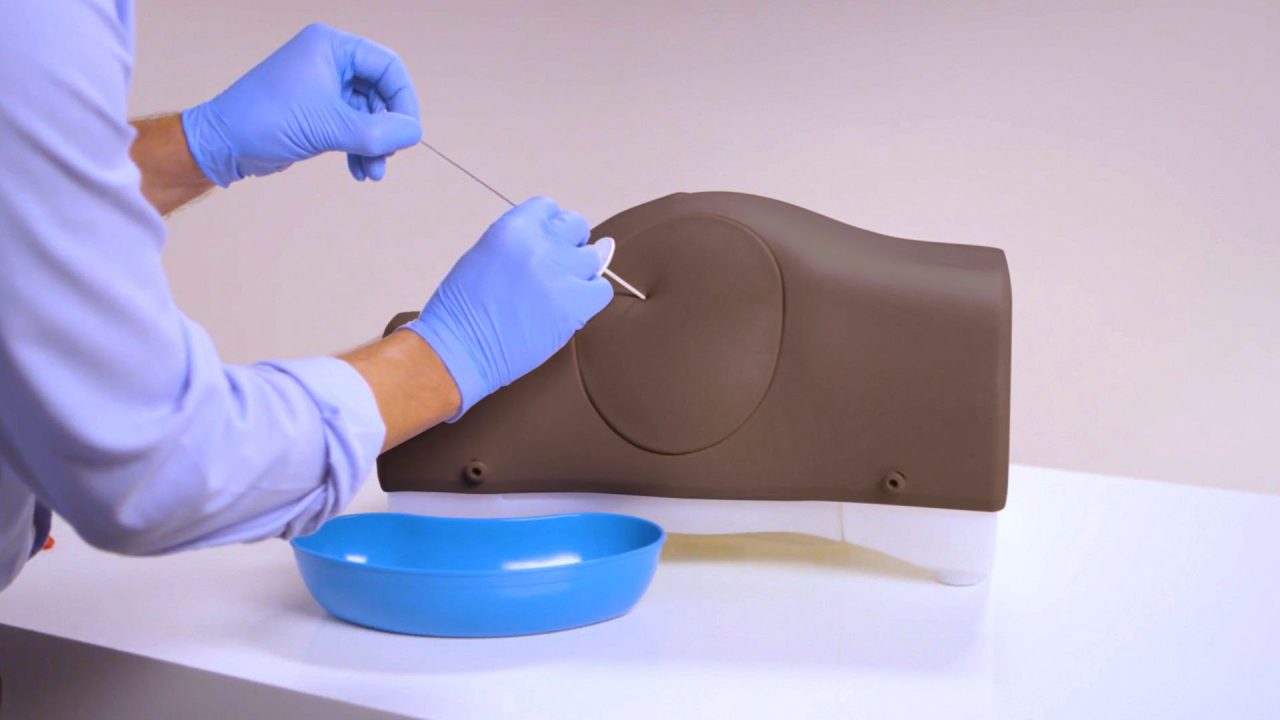 Paracentesis Trainer, Dark