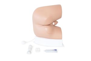 Standard Male Rectal Examination Trainer, Light