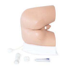 Standard Male Rectal Examination Trainer, Light