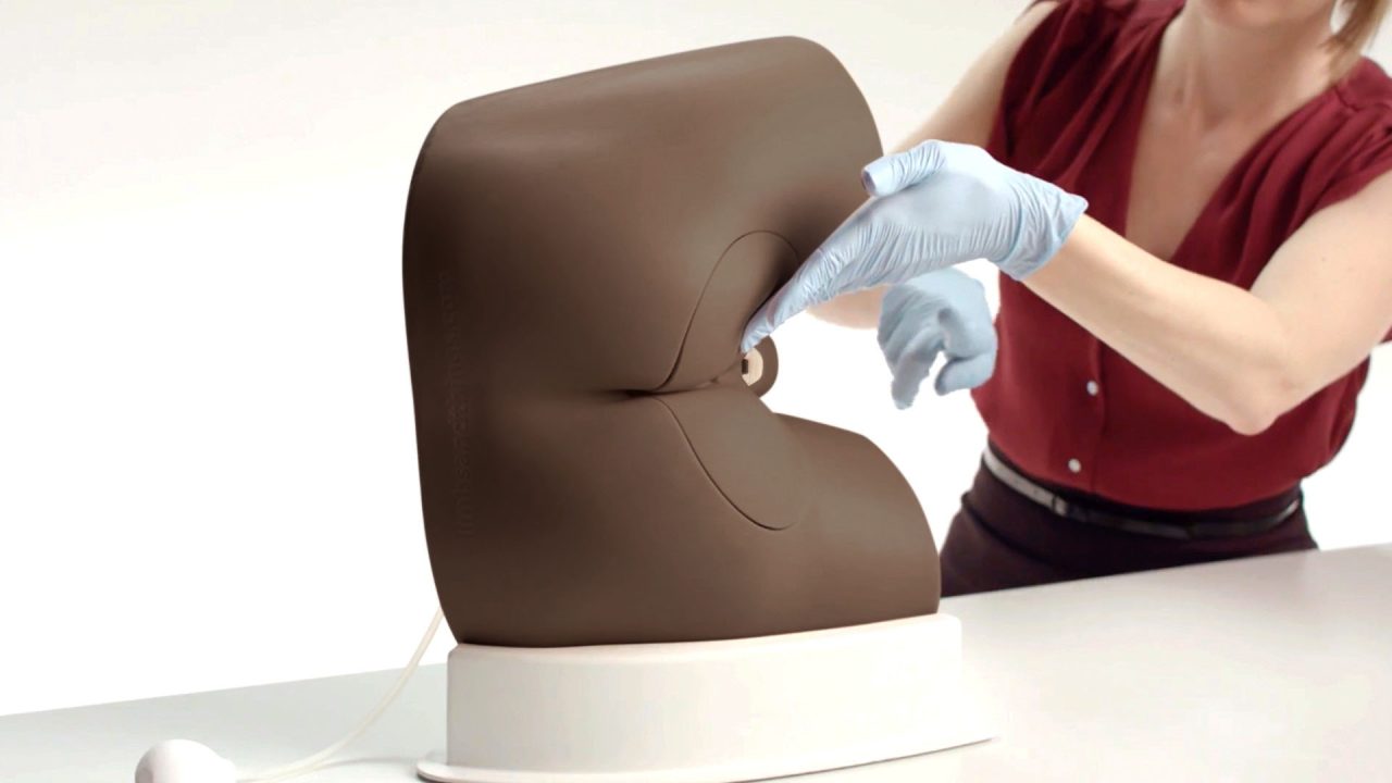 Standard Male Rectal Examination Trainer, Dark