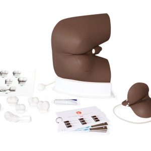Advanced Male Rectal Examination Trainer, Dark