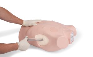 Chest Drain & Needle Decompression Trainer, Light
