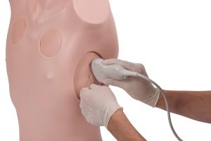 Chest Drain & Needle Decompression Trainer, Light
