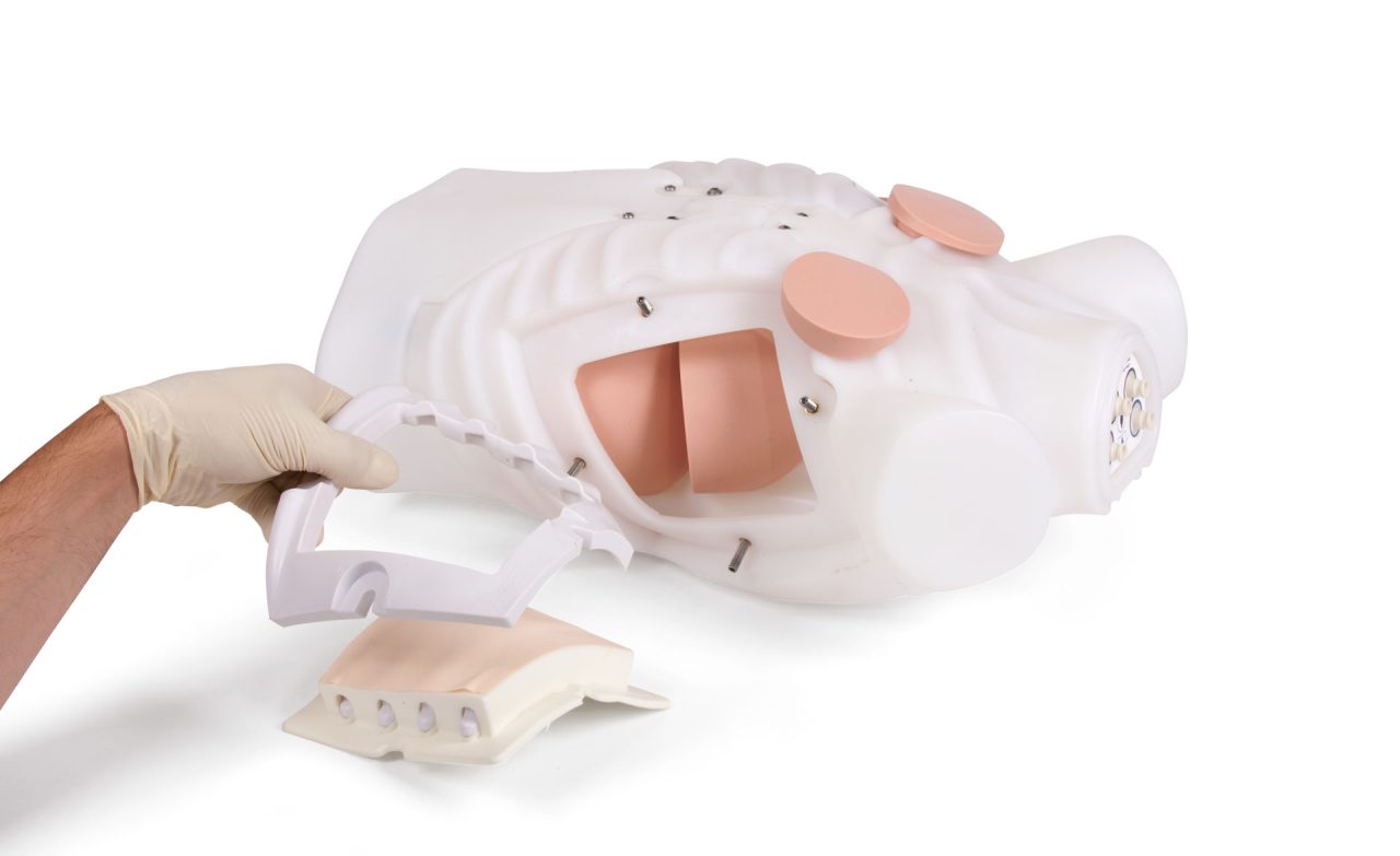 Chest Drain & Needle Decompression Trainer, Light