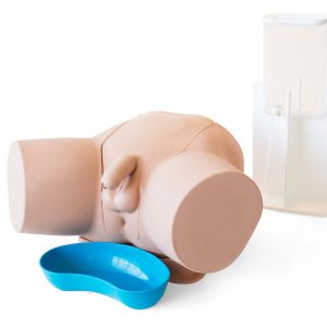 Male Catheterisation Trainer, Light