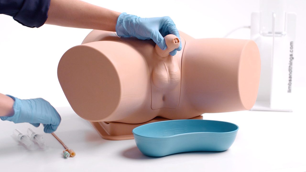 Male Catheterisation Trainer, Light