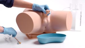 Male Catheterisation Trainer, Light