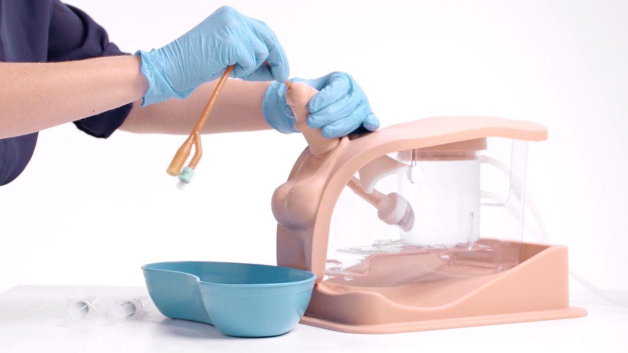 Male Catheterisation Trainer, Light