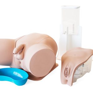 Standard Catheterisation Trainer Set, Light