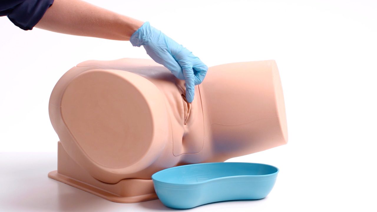 Standard Catheterisation Trainer Set, Light