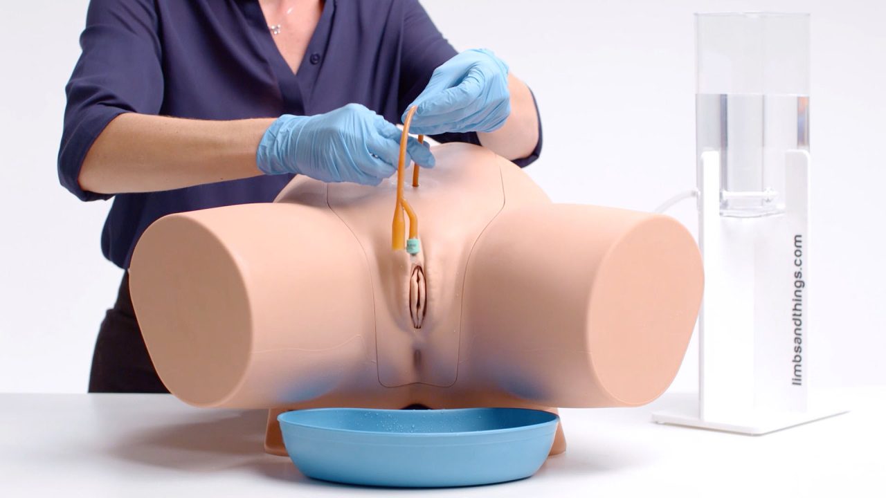 Standard Catheterisation Trainer Set, Light