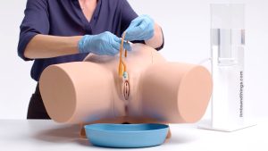 Standard Catheterisation Trainer Set, Light