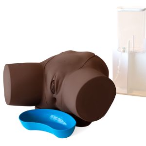 Female Catheterisation Trainer, Dark